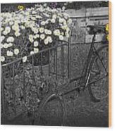 Marguerites And Bicycle Wood Print