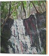 Mariah's Falls Wood Print