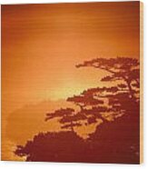 Marin County Sunset Fog Wood Print