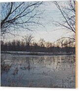 Marsh Morning Wood Print