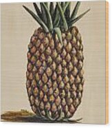 Maui Pineapple 3 Wood Print