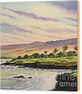 Mauna Kea Golf Course Hawaii Hole 3 Wood Print