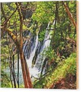 Mcarthur-burney Falls Filtered View Wood Print