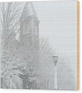 Mcgraw Hall In Winter Wood Print