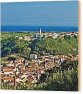 Mediterranean Town Of Susak Croatia Wood Print