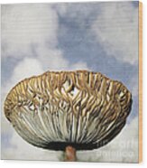 Mega Mushroom Iii Wood Print