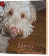 Merry Christmas From A Labrdoodle Card Wood Print