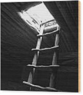 Mesa Verde National Park Kiva Ladder Black And White Wood Print