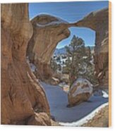 Metate Arch Wood Print