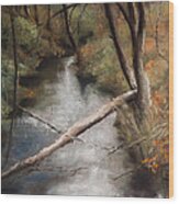 Michigan Creek Wood Print