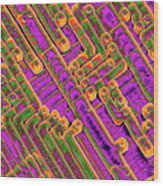Microchip Circuitry Wood Print