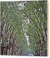 Milan Street Wood Print