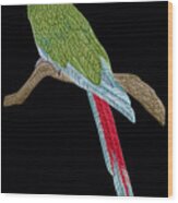 Military Macaw Wood Print
