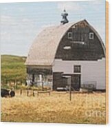 Minden Nebraska Old Farm And Barn Wood Print
