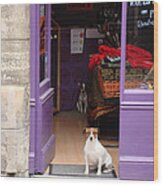Minding The Shop. Two French Dogs In Boutique Wood Print