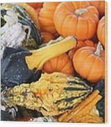 Mini Pumpkins And Gourds Wood Print