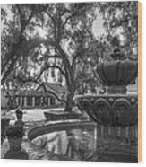 Mission San Diego De Alcala Fountain Wood Print