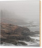 Misty Acadia National Park Seacoast Wood Print