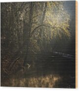 Misty Creek Wood Print