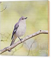 Mockingbird Wood Print