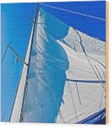 Modern Yacht Main Sail Wood Print