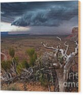 Moki Dugway Thunderstorm - Southern Utah Wood Print