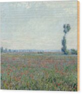 Monet Poppy Field, 1881 Wood Print