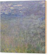 Monet Water Lilies, C1920 Wood Print