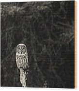 Monochrome Great Gray Owl Wood Print