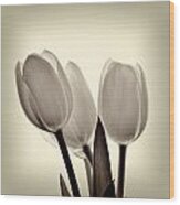 Monochrome Tulips With Vignette Wood Print