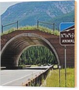 Montana Highway - #2 Animals' Bridge Wood Print