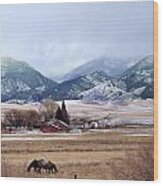 Montana Ranch - 1 Wood Print