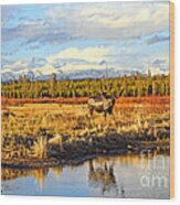 Montana Rurual Landscape Wood Print