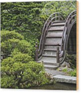 Moon Bridge - Japanese Tea Garden Wood Print