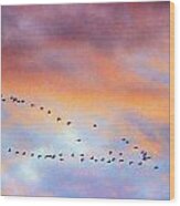 Morning Geese Wood Print