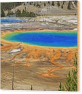 Grand Prismatic Geyser Yellowstone National Park Wood Print