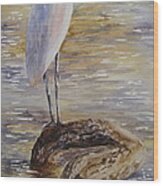 Morning Perch-egret Wood Print