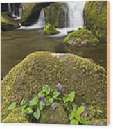 Moss Boulders And Stream Great Smoky Mts Wood Print