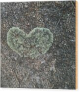 Moss Heart Wood Print