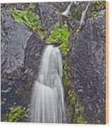 Mossy Waterfall Wood Print