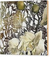 Moth Orchid With Moth Wood Print