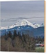 Mount Baker From Abbotsford Wood Print