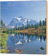 Mount Baker National Recreation Area, Wa Wood Print