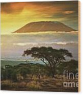 Mount Kilimanjaro Savanna In Amboseli Kenya Wood Print