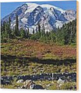Mount Rainier Wood Print