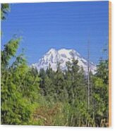 Mount Rainier Wood Print