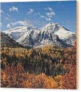 Mount Timpanogos In Autumn Utah Mountains Wood Print