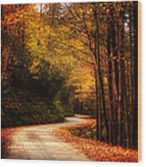 Mountain Back Road In Fall Wood Print