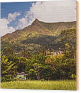 Mountain Mauritian Landscape Wood Print