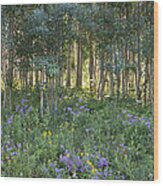 Mountain Wildflowers Wood Print